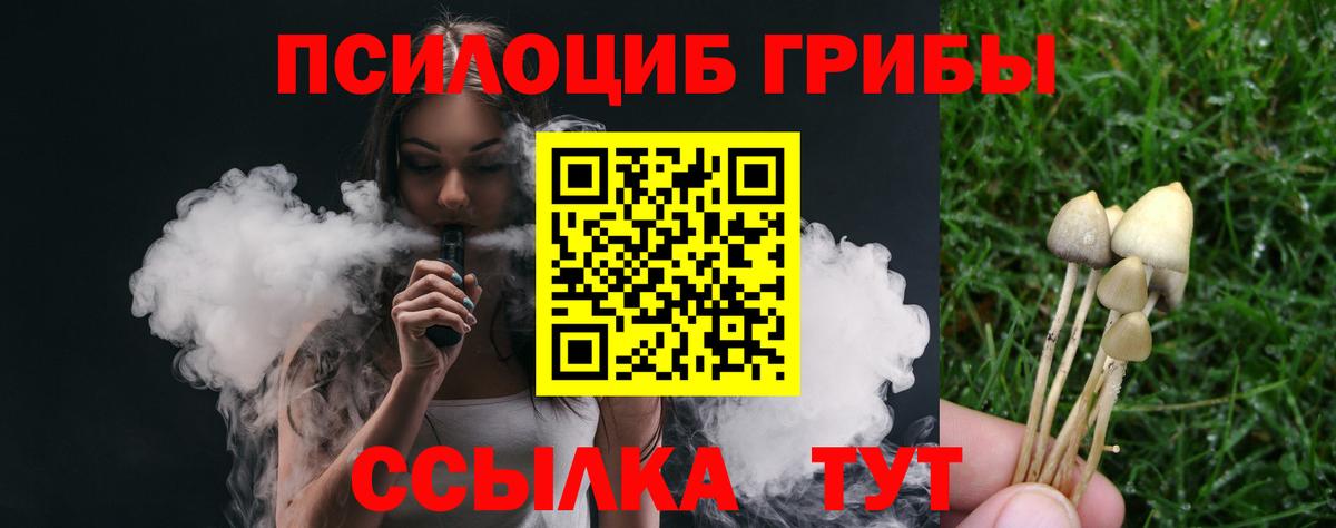 Галлюциногенные грибы мицелий  Вход с VPN  Тамбов 